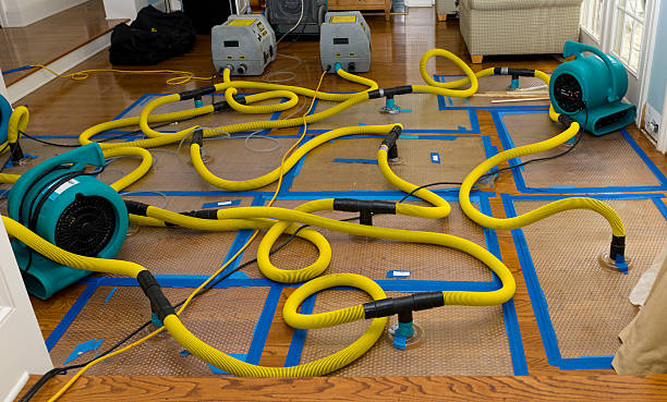 Professional Crawl Space Water Removal technician working in Medina, MN